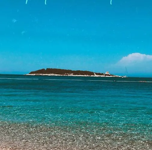 Sole *