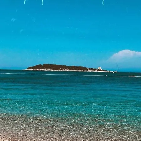 Sole *