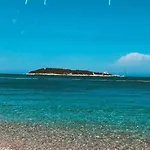 Sole *